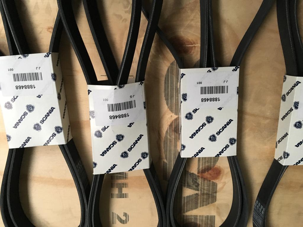 Correa SCANIA. Referencia 1888468 1888468 Correa SCANIA. Venta de recambios originales para camión en SCAORTIZ - Correa SCANIA. Referencia 1888468